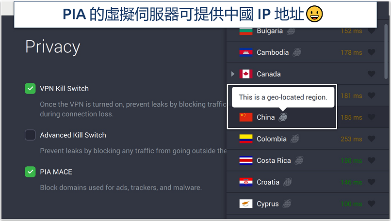 Screenshot of PIA's privacy settings and virtual servers in the app