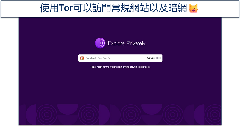 Screenshot of the Tor Browser homepage